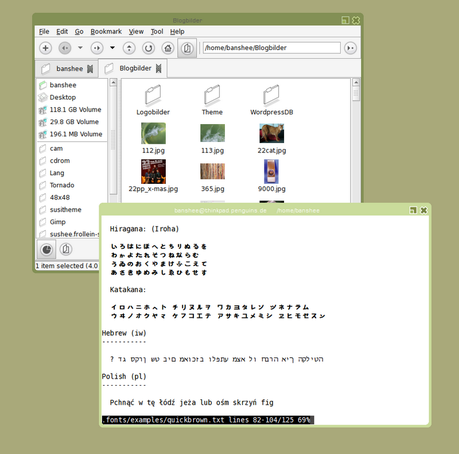 FVWM (F Virtual Window Manager) è un window manager per X Window system evoluto in un ambiente potente ed altamente configurabile.