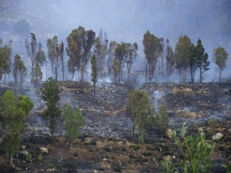 Incendio del Monte Inici