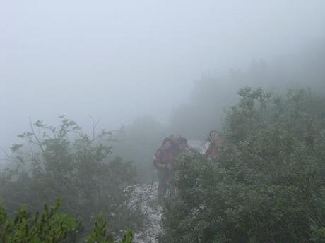 friends in the fog