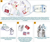 crioconservazione cordone ombelicale step2