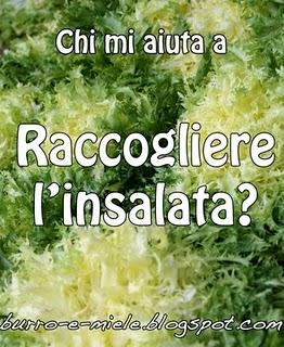 Un'insalata speciale: avocado, trota e arance