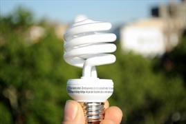 L'impatto ambientale delle lampadine LFC a basso consumo