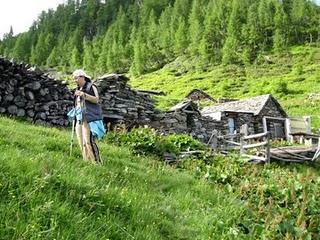 11-12 GIUGNO SALITA ALL' ALPE POZZOLO 1640 MT