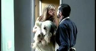 AMORES PERROS storie da cani