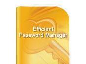 Efficient Password Manager