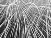 Fuochi d’artificio