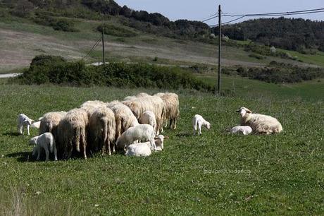 la pastorale