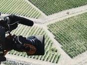 AgrilineaNews, testata giornalistica agroalimentare.