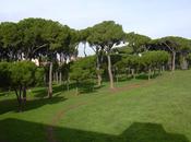 Ragazza violentata gruppo filippini:" volevamo solo divertire".