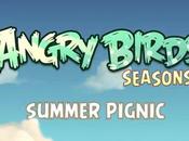 Angry Birds Seasons: Summer Pignic