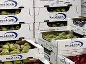 CARTA FORESTE. IMBALLAGGI ORTOFRUTTA FANNO LORO PARTE Bestack hanno analizzato imballi utilizzati stilato serie consigli