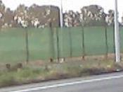 campo fotovoltaico Michele Campagna