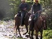 Cavalcare Montaione un'esperienza indimenticabile