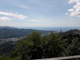 Domenica Domenica
