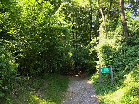 Weekend dove? Lugano | Svizzeramo L'ingresso nel bosco in Via ai Canvetti