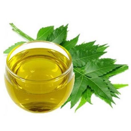 Neem: 7 proprietà e 7 usi per la salute olio_neem