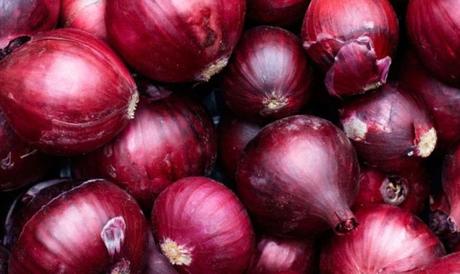 Cipolle con miglio (ricetta antipasti)… Risultati immagini per cipolle rosse