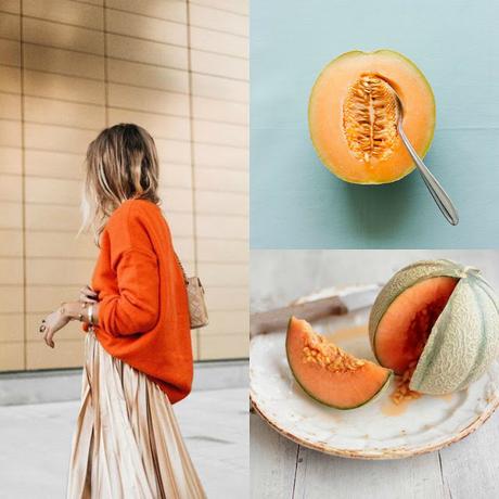 Il Melone: perché fa bene e quali sono le sue proprietà e i suoi benefici Il Melone: perché fa bene e quali sono le sue proprietà e i suoi benefici