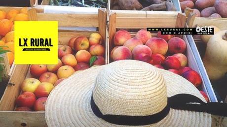 Fine settimana a Lisbona, eventi 26-28 luglio 2019 Fine settimana a Lisbona, eventi 26-28 luglio 2019