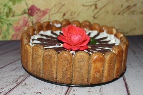 Torta tiramisù senza uova aglaia Torta tiramisù senza uova