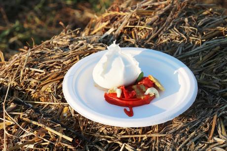 Alla scoperta del Pomodoro Cannellino Flegreo e del Parco Archeologico di Cuma Alla scoperta del Pomodoro Cannellino Flegreo e del Parco Archeologico di Cuma