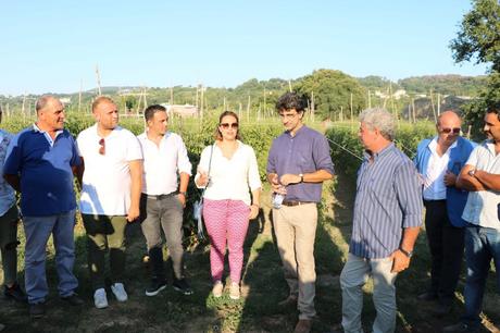 Alla scoperta del Pomodoro Cannellino Flegreo e del Parco Archeologico di Cuma Alla scoperta del Pomodoro Cannellino Flegreo e del Parco Archeologico di Cuma