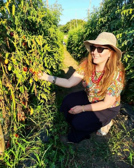 Alla scoperta del Pomodoro Cannellino Flegreo e del Parco Archeologico di Cuma Alla scoperta del Pomodoro Cannellino Flegreo e del Parco Archeologico di Cuma