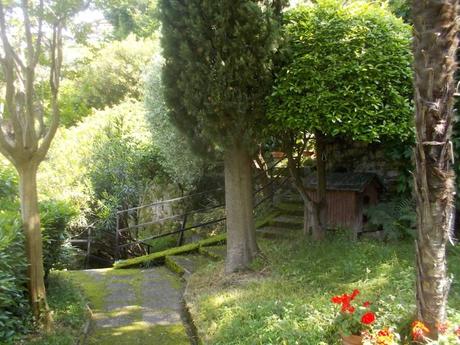 Tu, Cipresso, resisti, 2 agosto 2019 Tu, Cipresso, resisti, 2 agosto 2019