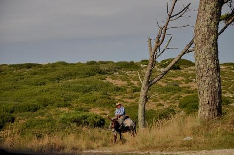 Portogallo: la Serra de Montejunto tra mulini, natura e una fabbrica di ghiaccio del 1800 Portogallo: la Serra de Montejunto tra mulini, natura e una fabbrica di ghiaccio del 1800