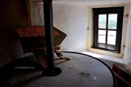 Portogallo: la Serra de Montejunto tra mulini, natura e una fabbrica di ghiaccio del 1800 Portogallo: la Serra de Montejunto tra mulini, natura e una fabbrica di ghiaccio del 1800