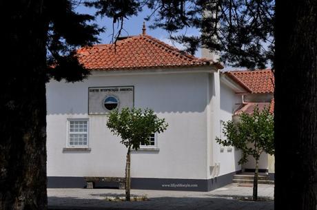 Portogallo: la Serra de Montejunto tra mulini, natura e una fabbrica di ghiaccio del 1800 Portogallo: la Serra de Montejunto tra mulini, natura e una fabbrica di ghiaccio del 1800