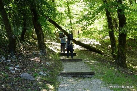 Portogallo: la Serra de Montejunto tra mulini, natura e una fabbrica di ghiaccio del 1800 Portogallo: la Serra de Montejunto tra mulini, natura e una fabbrica di ghiaccio del 1800