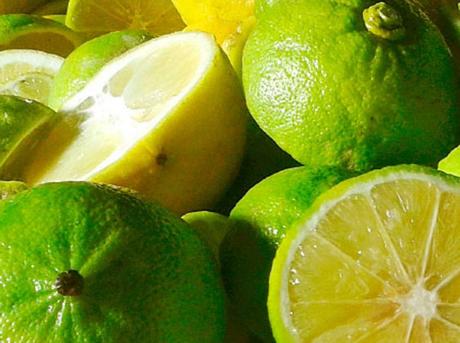 Che proprietà ha il succo di bergamotto? Risultati immagini per bergamotto