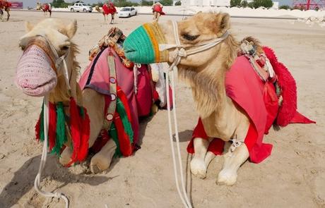 Cosa fare in tre giorni a Doha, capitale del Qatar Cosa fare in tre giorni a Doha, capitale del Qatar