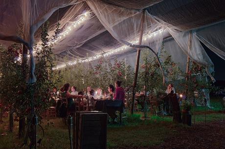 Cena nel frutteto, emozioni, luci, suoni e prodotti a filiera corta Cena nel frutteto, emozioni, luci, suoni e prodotti a filiera corta