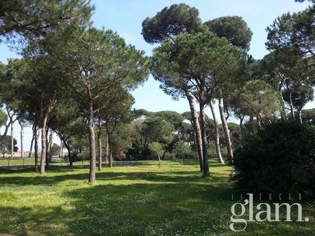 Le migliori 10 cose da fare vicino all’ aeroporto di Roma Fiumicino Le migliori 10 cose da fare vicino all’ aeroporto di Roma Fiumicino