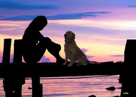 Per il tuo cane tu sei il mondo, non abbandonarlo. Per il tuo cane tu sei il mondo, non abbandonarlo.