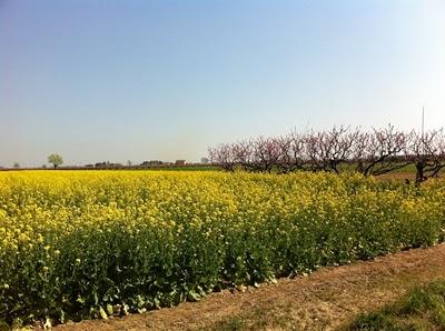 Una Stagione: la Primavera