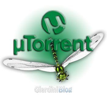 utorrent