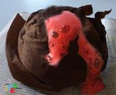 V COME… VOLCANO=VULCANO