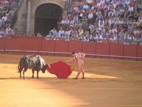 Dalla parte del toro