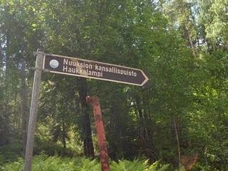 Hyvää Juhannusta!