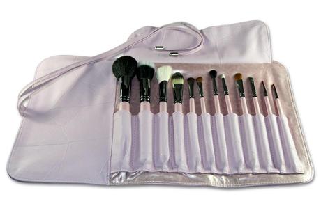 Sedona Lace 12 piece brush set!