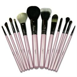 Sedona Lace 12 piece brush set!