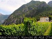 “maso michei” montagna beve