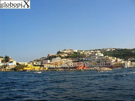 Ponza e Ventotene - Gli Articoli