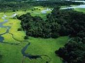 Dall'amazzonia, passando valsusa, differenza quello definimmo "sinistra" vera area progresso civilta'