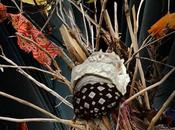 Festival Visual Brasil 2011