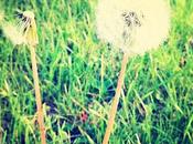Allergia.