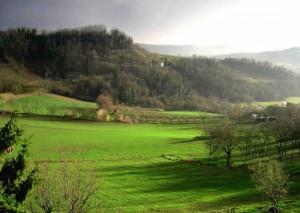 monferrato